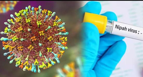 නිපා වෛරසය මෙරටට බලපායිද?